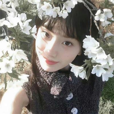 护垫侠